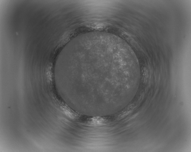 X0000071760612200607220011