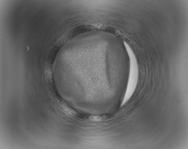 X0000071760613200607220011