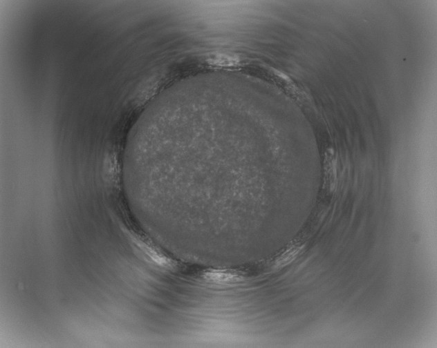 X0000071760614200607220011