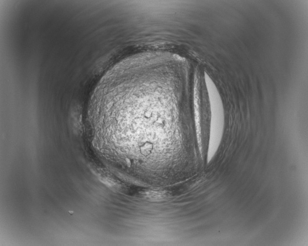 X0000071760615200607220011