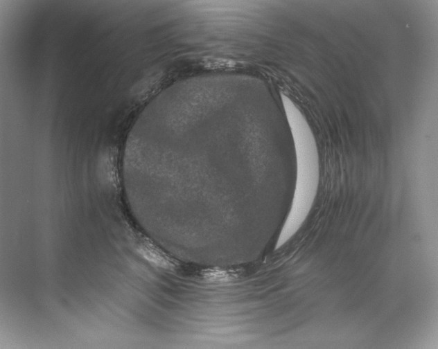 X0000071760616200607220011