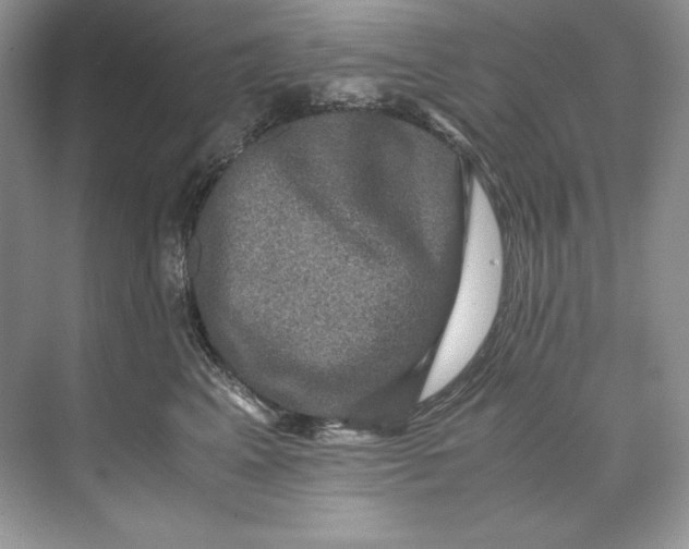 X0000071760617200607220011