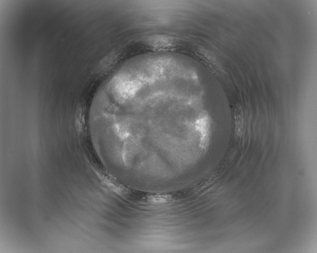 X0000071760618200607220011