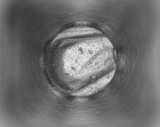 X0000071760619200607220011