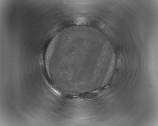 X0000071760620200607220011