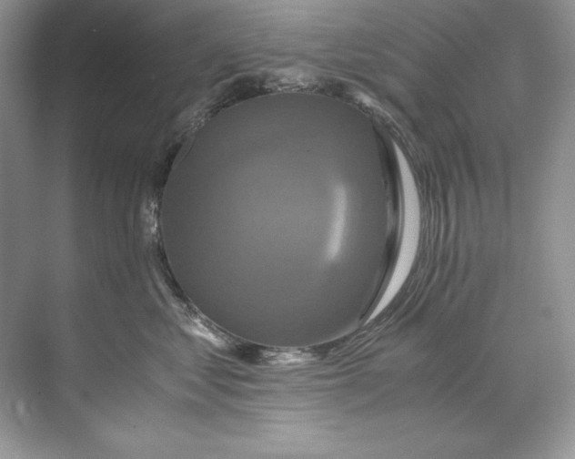 X0000071760621200607220011