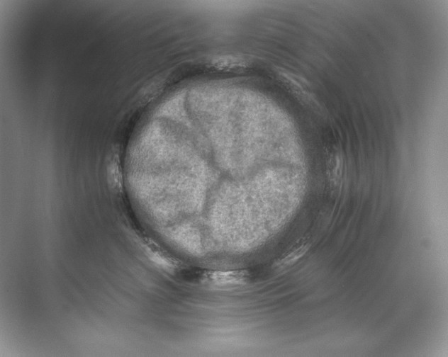 X0000071760622200607220011