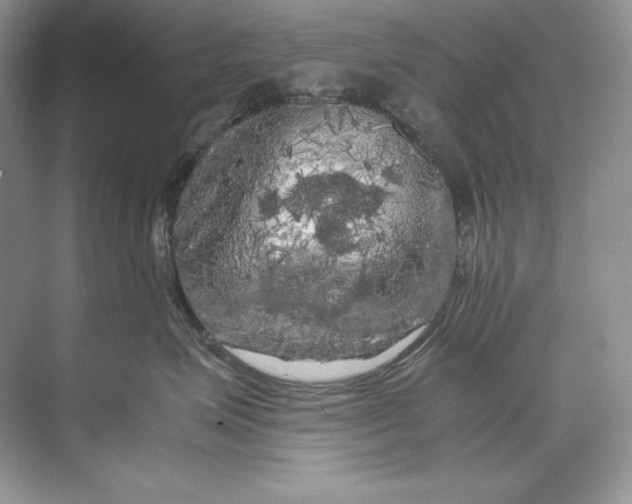 X0000071760623200607220011