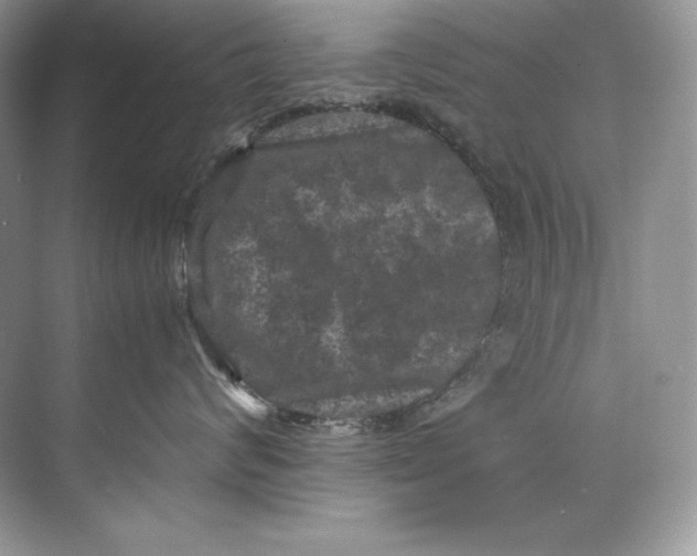 X0000071760624200607220011