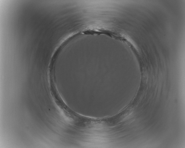 X0000071760626200607220010