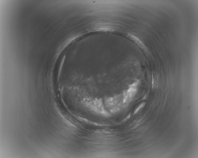 X0000071760627200607220010