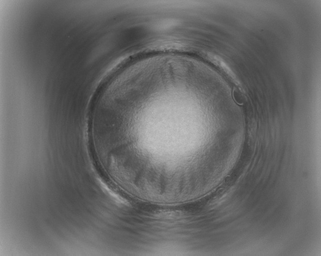 X0000071760629200607220010