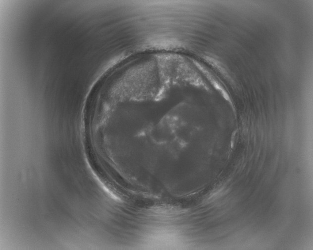 X0000071760630200607220010