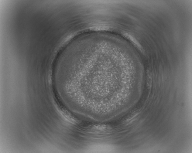 X0000071760631200607220010