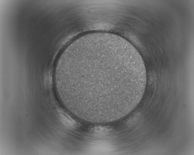 X0000071760632200607220010