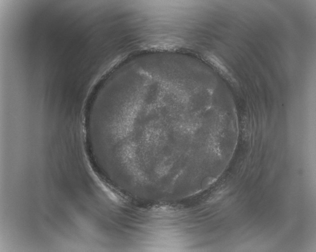 X0000071760634200607220010