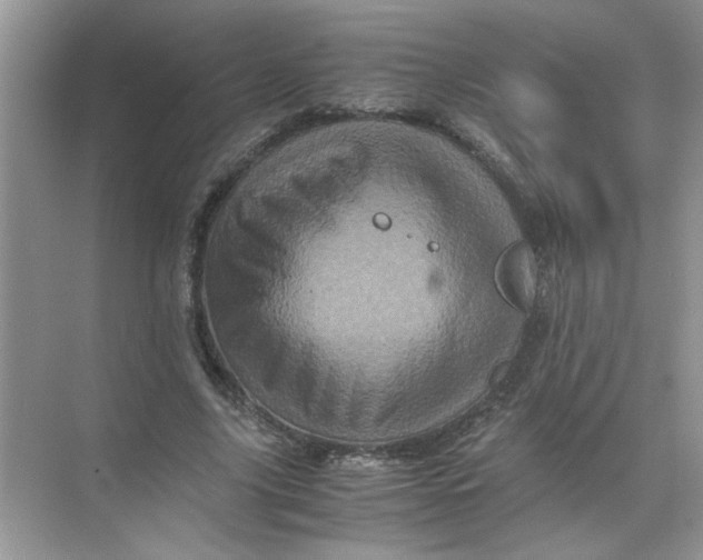 X0000071760635200607220010