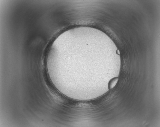 X0000071760636200607220011