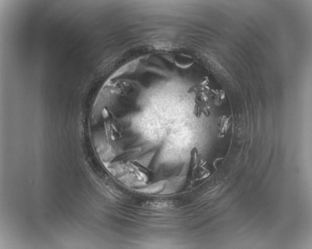 X0000071760639200607220011