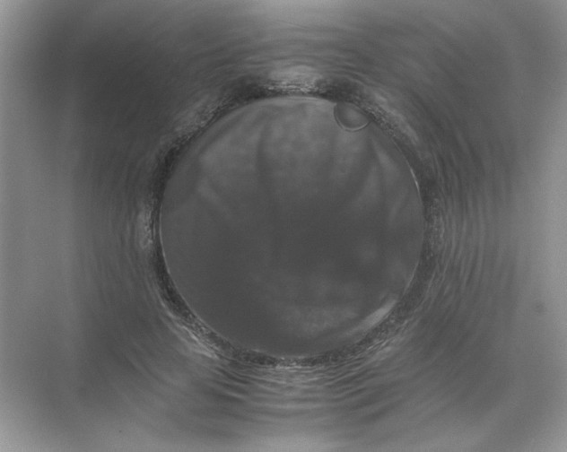 X0000071760641200607220011