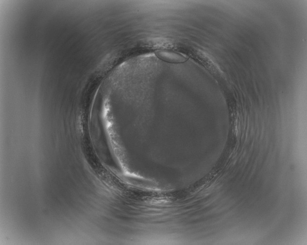 X0000071760643200607220011