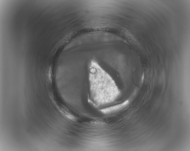 X0000071760644200607220011