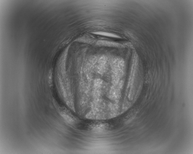 X0000071760646200607220011