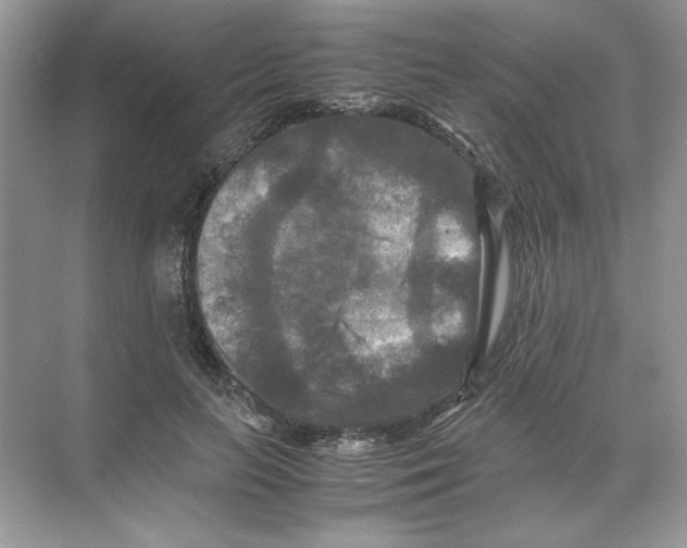 X0000071760647200607220011