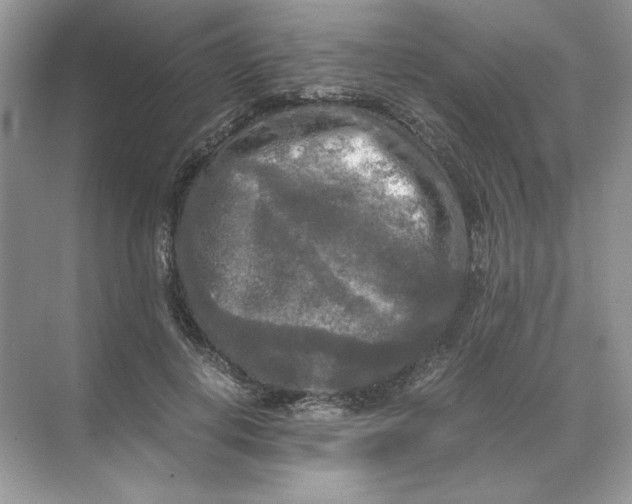 X0000071760648200607220011