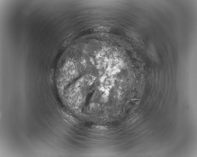 X0000071760649200607220011