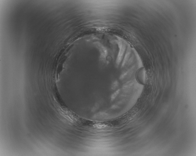 X0000071760650200607220011