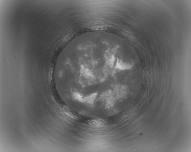 X0000071760652200607220011