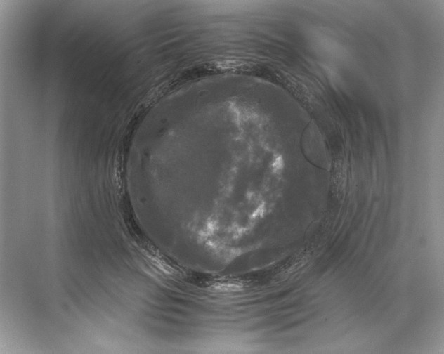 X0000071760653200607220011