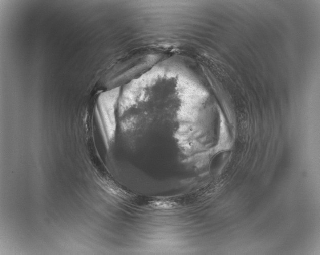 X0000071760654200607220011