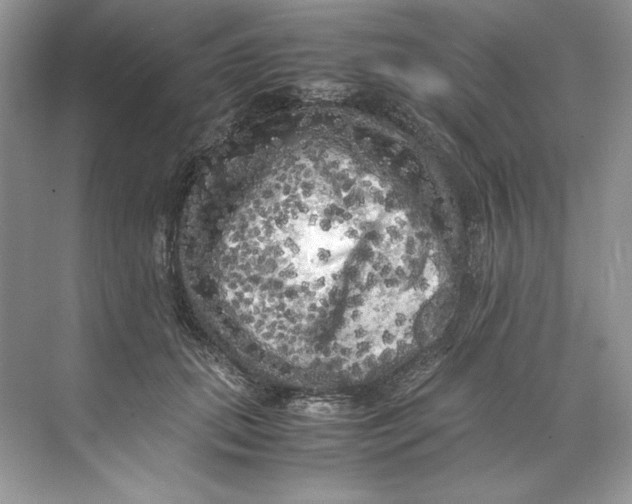 X0000071760655200607220011