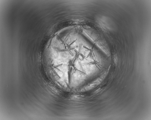 X0000071760657200607220011