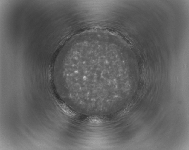 X0000071760658200607220011