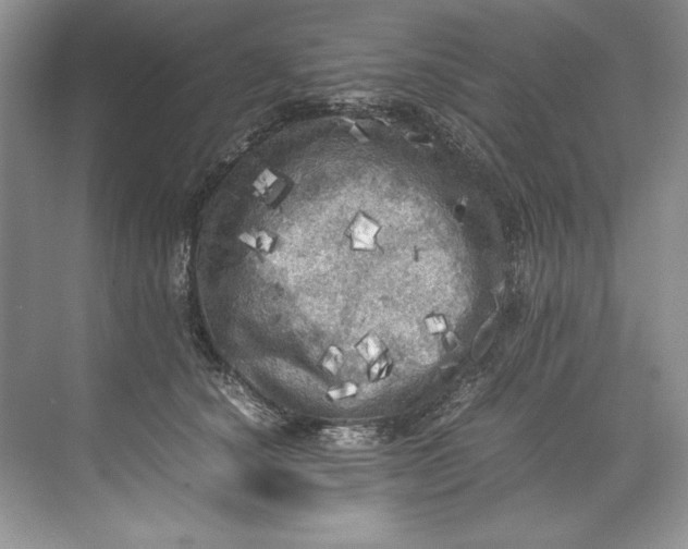 X0000071760660200607220011