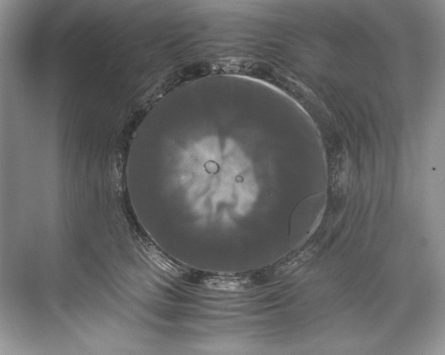 X0000071760661200607220011