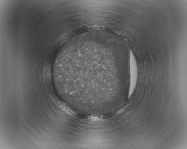 X0000071760662200607220011