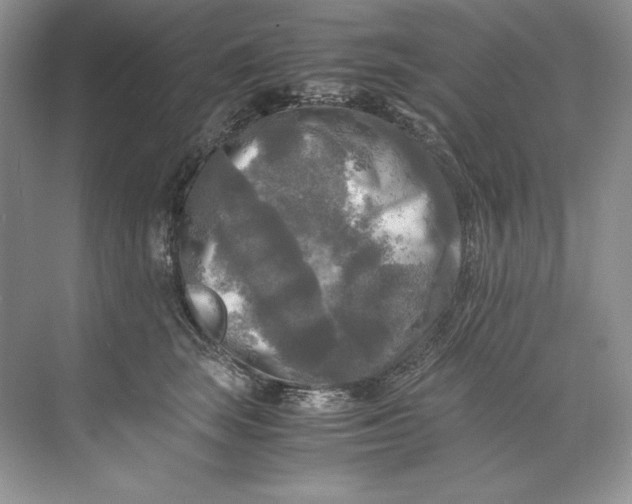 X0000071760663200607220011