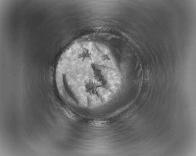 X0000071760664200607220011