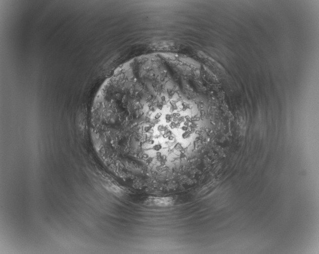 X0000071760665200607220011