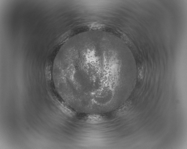 X0000071760666200607220011