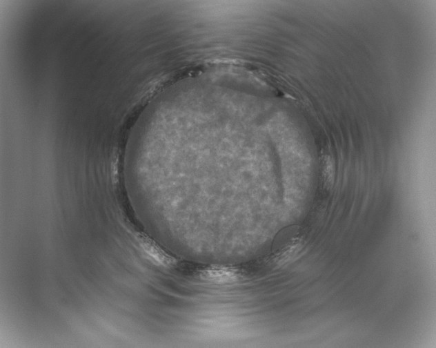 X0000071760668200607220011