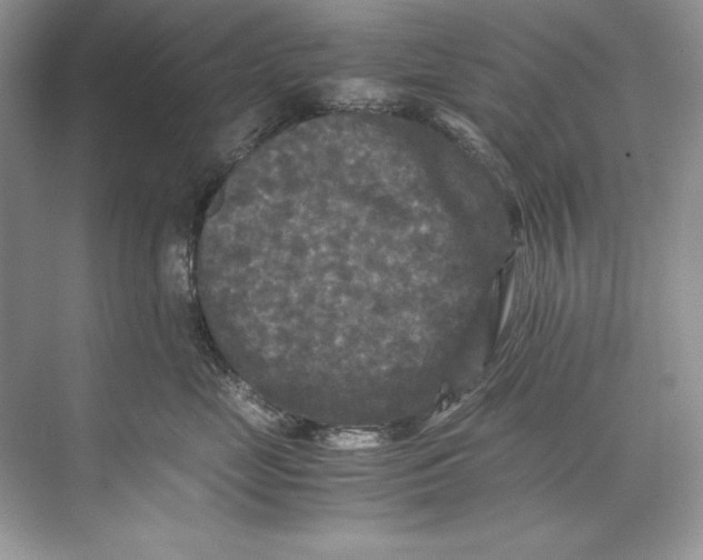 X0000071760669200607220011