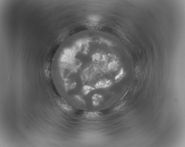 X0000071760671200607220011