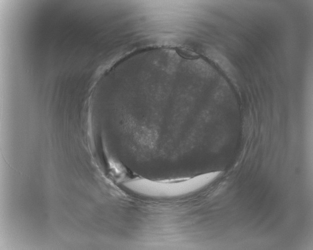 X0000071760673200607220010