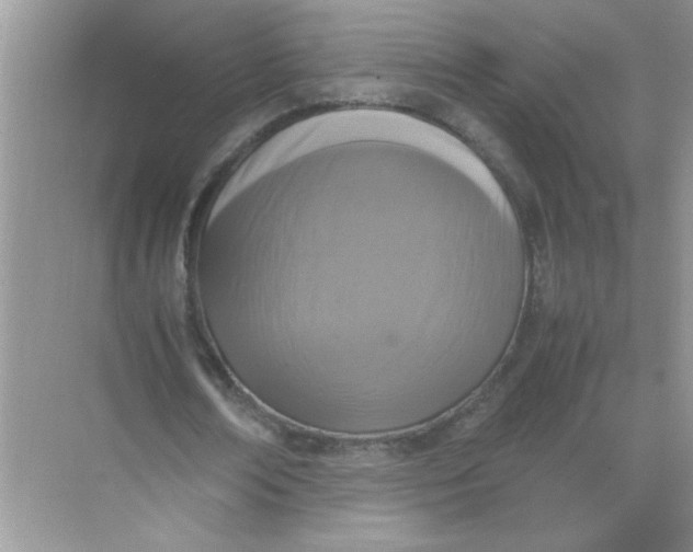 X0000071760674200607220010