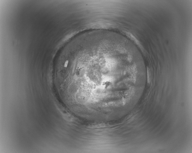 X0000071760675200607220010